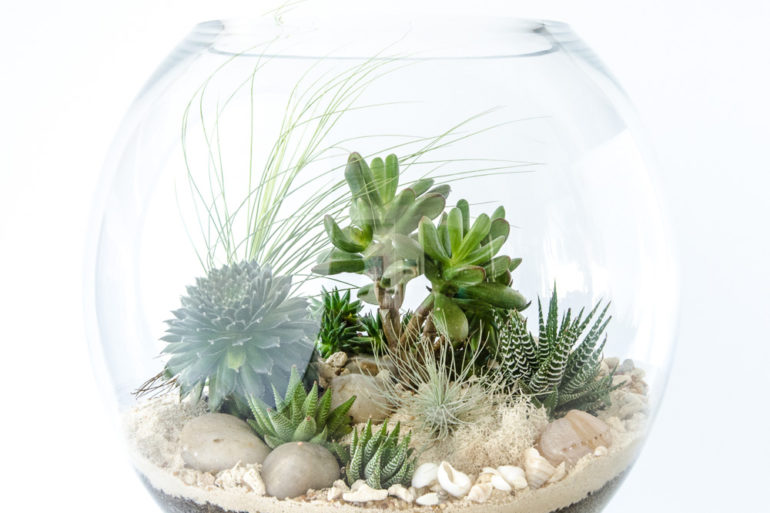 vase décoration mer déco campagne