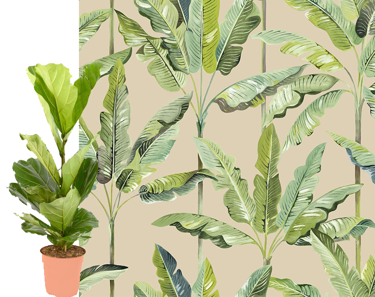 plante et tissu tropical