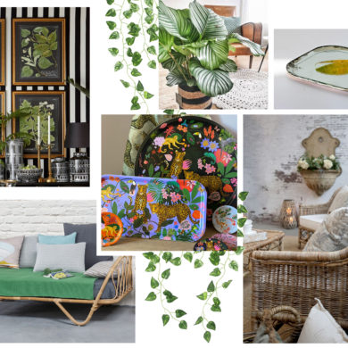 moodboard plantes