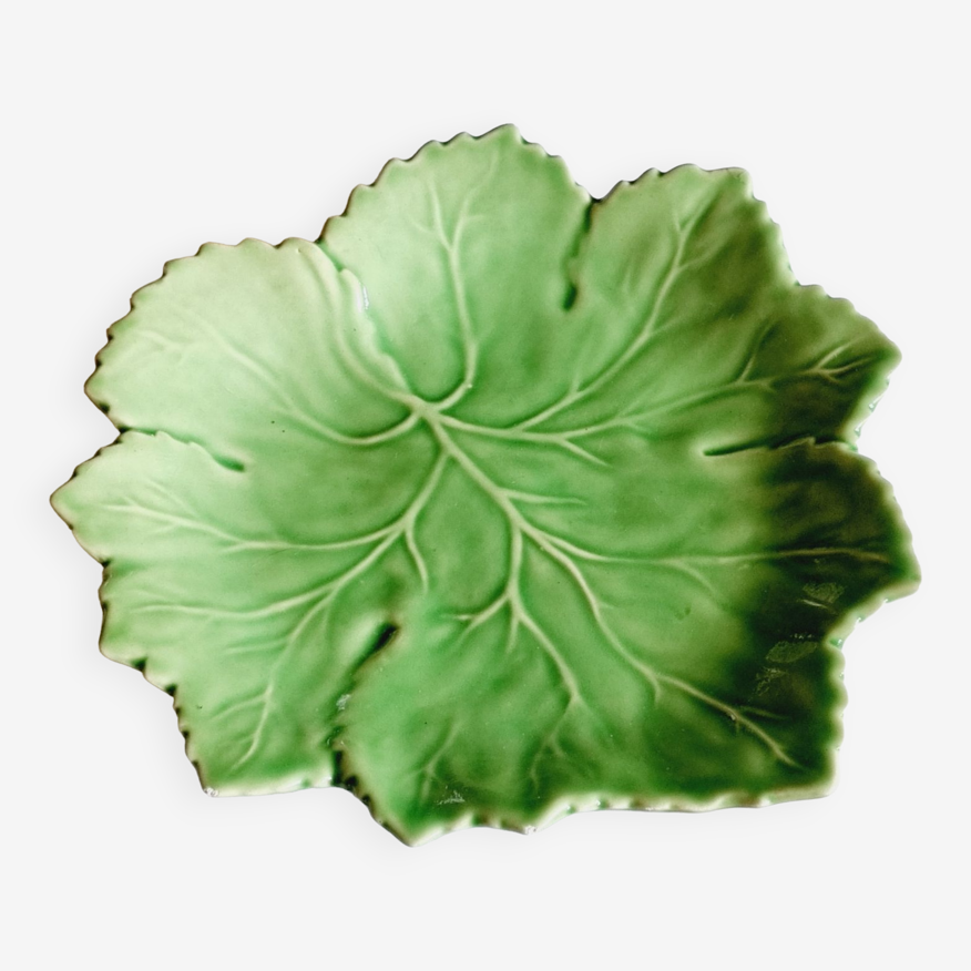 Barbotine feuille