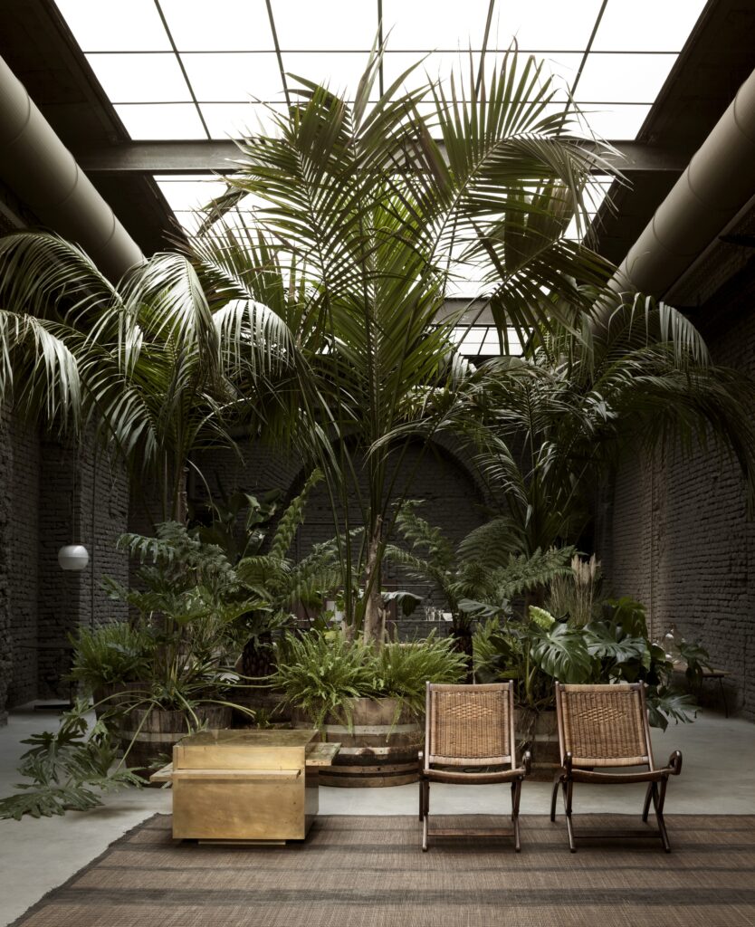 espace design loft plantes